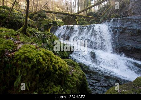 Das wilde Chasteltal in der Region Basel Stockfoto