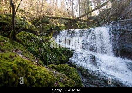 Das wilde Chasteltal in der Region Basel Stockfoto