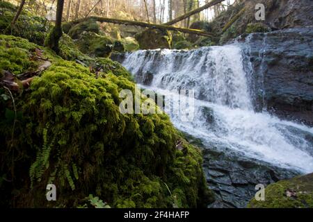 Das wilde Chasteltal in der Region Basel Stockfoto