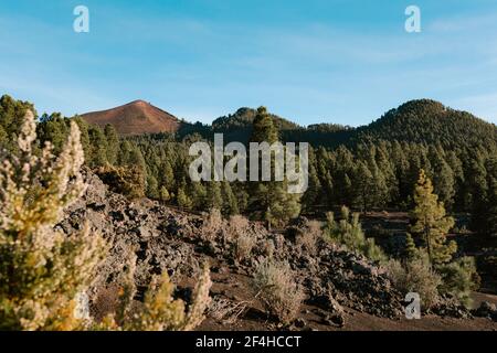 Spektakuläre Landschaft von Bergen und Pinien auf einem sonnigen Tag Stockfoto