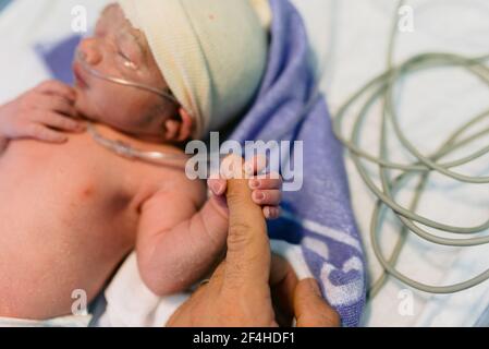 Winziges neugeborenes Kind mit Atemschlauch hält Finger nicht erkennbar Mama beim Schlafen im Inkubator im Krankenhaus Stockfoto