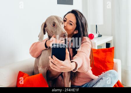 Liebevolle weibliche Besitzer umarmt und küsst liebenswert reinrassige Weimaraner Hund Und Selfie auf dem Smartphone machen, während man sich auf dem Sofa ausruhen kann Zu Hause Stockfoto