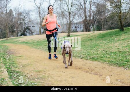 Voller Körper von positiven jungen fit weiblich läuft zusammen mit Weimaraner Hund beim Outdoor-Training im Park Stockfoto