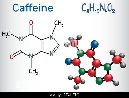 Koffeinmolekül. Strukturelle chemische Formel und Molekülmodell. Vektorgrafik Stock Vektor