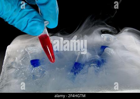 Polymerase-Kettenreaktionsproben auf Trockeneis in der Biochemie, Molekularbiologie, Genetik und klinischen Chemie im Labor verwendet - rot ist die Testprobe Stockfoto