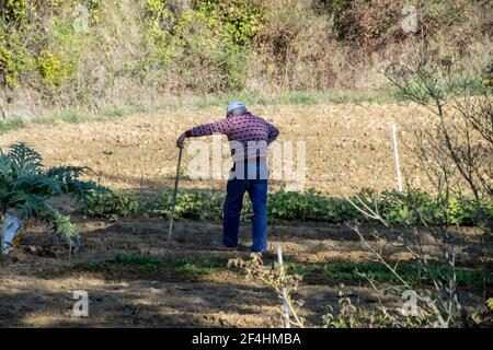 Älterer Mann in weißer Baseballmütze und Arbeitskleidung, der seinen Gemüsegarten kultiviert. Eastern Gard, Languedoc, Südfrankreich. Stockfoto