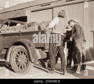 Selbsthilfe-Kooperative, Burbank, Kalifornien. Organisiert Im August 1934. Jetzt hat sechsundsiebzig aktive Mitglieder und ist ziemlich erfolgreich. Haben bei der Resettlement Administration einen Kredit beantragt. Haben Bauernhof von hundert achtzig Hektar, und liefern Gemüse an die Mitglieder. Außerdem liefert die Molkerei täglich 120 Gallonen Milch. 65 Kühe. Foto von Dorothea lange. Stockfoto