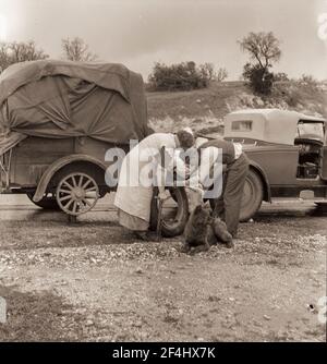 Wandererbsenpflücker auf der Straße. Kalifornien. Februar 1936. Foto von Dorothea lange. Stockfoto