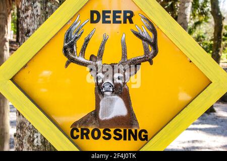 Deer Crossing Zeichen an der Seminole Tribe von Floridas Billie Swamp Safari. Stockfoto