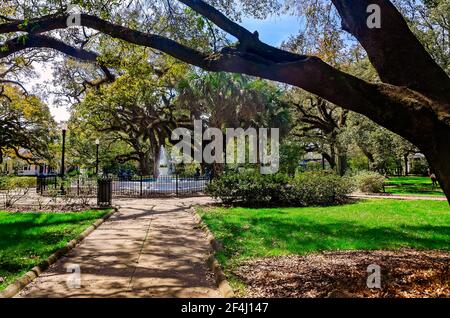 Washington Square verfügt über einen Brunnen und zahlreiche lebende Eichen, 13. März 2021, in Mobile, Alabama. Stockfoto