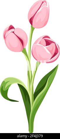 Vektor-Bouquet von drei rosa Tulpenblüten isoliert auf einem weißen Hintergrund. Stock Vektor