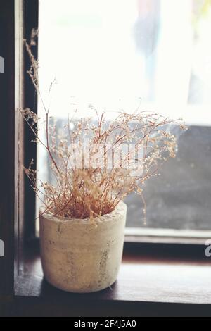 Trockene Pflanzenblume in Vase auf dem Holzfenster Stockfoto