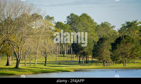 Ruhige Aussicht auf den See, grünes Gras und Bäume von diesem Golfplatz in Georgien Stockfoto