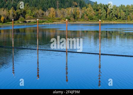 Beiträge spiegeln sich im Wasser im Beacon Rock State Park in Washington, USA Stockfoto