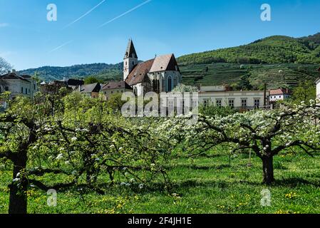 Blick auf die imposante historische Kirche von Spitz im Wachau Stockfoto