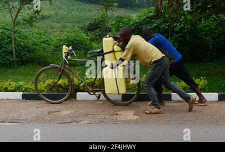 Ein Ruanda, der sein beladetes Fahrrad im ländlichen Ruanda schiebt. Stockfoto