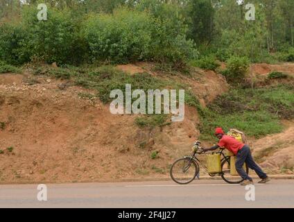 Ein Ruanda, der sein beladetes Fahrrad im ländlichen Ruanda schiebt. Stockfoto