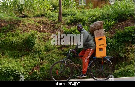 Ein Ruanda, der sein beladetes Fahrrad im ländlichen Ruanda schiebt. Stockfoto