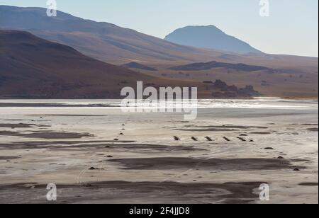 Freiluft-Industrie-Borax und Schwefel Bergbau in einer ausgetrockneten Lagune, Uyuni Salz flache Wüste, Bolivien. Stockfoto