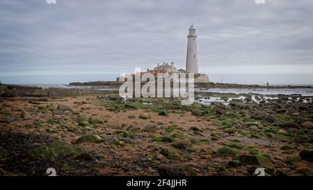 St Mary's Lighthouse steht auf St Mary's Island direkt vor der Nordseeküste in Whitley Bay im Nordosten Englands. Stockfoto