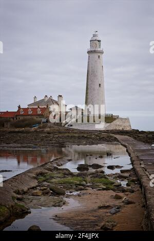 St Mary's Lighthouse steht auf St Mary's Island direkt vor der Nordseeküste in Whitley Bay im Nordosten Englands. Stockfoto