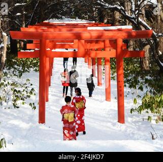 Sapporo Fushimi Inari Schrein in Hokkaido, Japan. Stockfoto