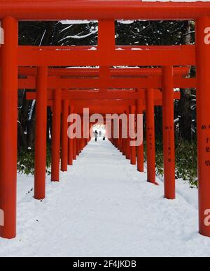 Sapporo Fushimi Inari Schrein in Hokkaido, Japan. Stockfoto