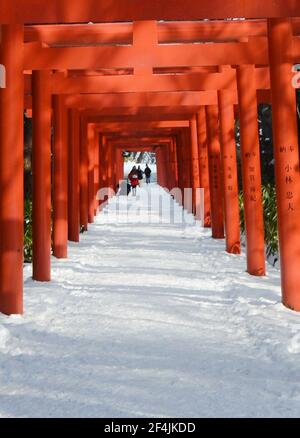 Sapporo Fushimi Inari Schrein in Hokkaido, Japan. Stockfoto