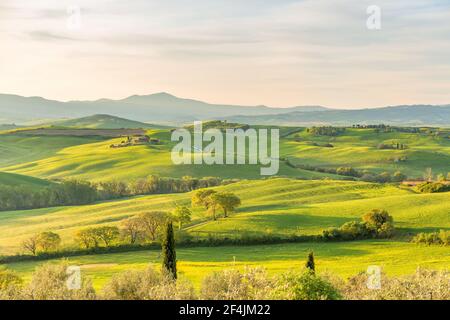 Ländliche Toskana Landschaft in frühen Frühlingsmorgen Stockfoto