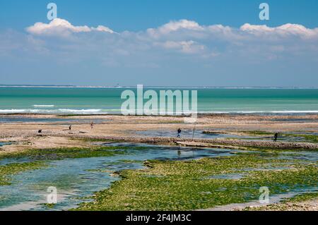 Strand bei Ebbe in der Nähe des Leuchtturms der Wale oder Phare des baleines, Saint Clement des Baleines, Ile de Re, Charente-Maritime (17), Nouvelle-Aqua Stockfoto