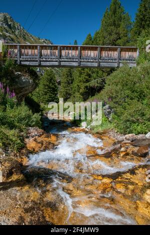 Bach in der Nähe von Les Arcs Touristenort, hohe Tarentaise Tal, Französisch Alpen, Savoie (73), Auvergne-Rhone-Alpes Region, Frankreich Stockfoto