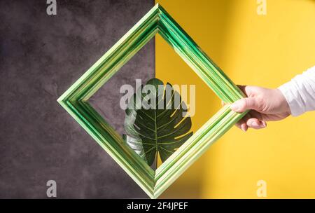 Eine Frauenhand hält einen grünen Rahmen vor einem Monsterblatt auf einem grau-gelben Hintergrund. Stockfoto