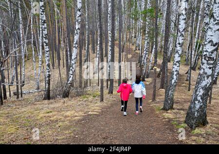 Touristen wandern durch einen Wald im Stolby Nature Sanctuary, Krasnojarsk, Sibirien, Russland Stockfoto