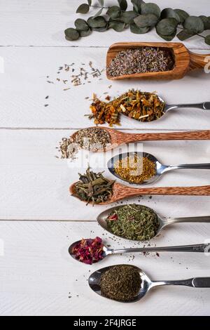 Verschiedene Teekräuter auf einem weißen Holztisch, schön auf verschiedenen Löffeln angeordnet Stockfoto
