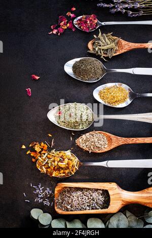 Verschiedene Teekräuter auf einem schwarzen Tisch, schön auf verschiedenen Löffeln angeordnet Stockfoto