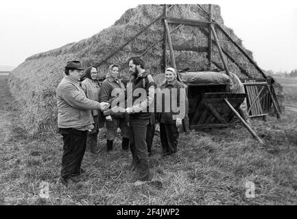 15. Oktober 1981, Sachsen, Delitzsch: Dank der Genossenschaftsbauern wird das Futter für die LPG-Viehproduktion im Herbst 1981 in einer Großmiete im Landkreis Delitzsch für das Winterhalbjahr gelagert. Genaues Aufnahmedatum nicht bekannt. Foto: Volkmar Heinz/dpa-Zentralbild/ZB Stockfoto