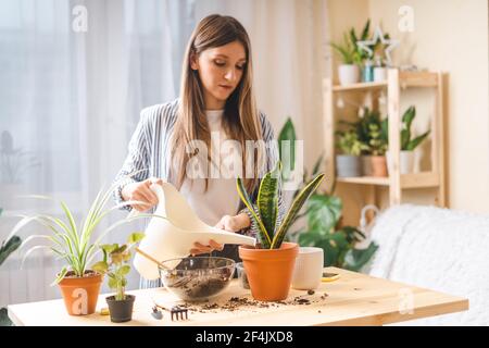 Frau Gärtner Bewässerung Pflanze Stockfoto