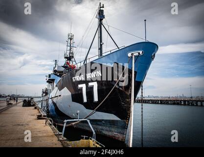 Das Flaggschiff von pensionierter Sea Shepherd, die M/Y Steve Irwin, dockte in Williamstown, Victoria, Australien an Stockfoto