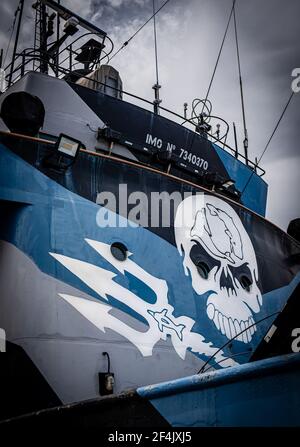 Das Flaggschiff von pensionierter Sea Shepherd, die M/Y Steve Irwin, dockte in Williamstown, Victoria, Australien an Stockfoto