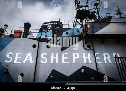 Das Flaggschiff von pensionierter Sea Shepherd, die M/Y Steve Irwin, dockte in Williamstown, Victoria, Australien an Stockfoto