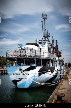 Das Flaggschiff von pensionierter Sea Shepherd, die M/Y Steve Irwin, dockte in Williamstown, Victoria, Australien an Stockfoto