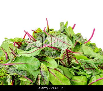 Gemischte Salatblätter isoliert auf weißem Hintergrund. Mischen Sie frische Rucola-Blätter, Salat und Spinat Stockfoto