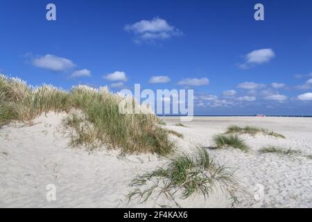 Geographie / Reisen, Dänemark, Nordjuetland, Grenen, Dünen am Kap Grenen an der Nordspitze Jutlan, Additional-Rights-Clearance-Info-not-available Stockfoto