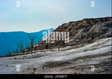 Cavern Terrace eine tote Terrasse im Mammoth Hot Springs Yellowstone National Park. Hochwertige Fotos Stockfoto