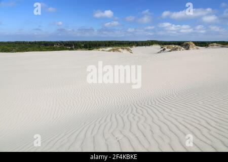 Geographie / Reisen, Dänemark, Nordjylland, Råbjerg Mile, Sanddüne Råbjerg Mile, Nordjylland, , Additional-Rights-Clearance-Info-not-available Stockfoto