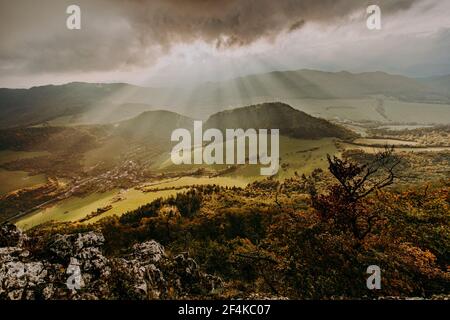 Landschaft mit Sonnenstrahlen über kleinen Kiefernwald Stockfoto