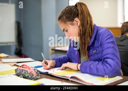 Harrison, New York, USA. Weibliche Grundschule Schüler ihren Unterricht an der Schule für die niederländische Sprache & Kultur besuchen. Stockfoto