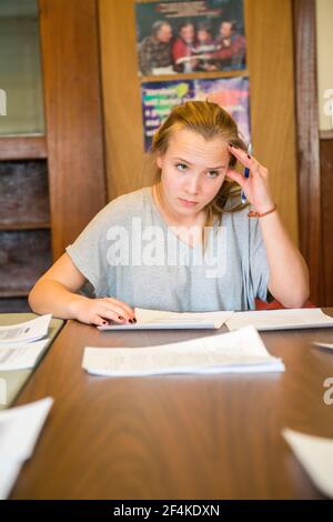 Harrison, New York, USA. Weibliche Grundschule Schüler ihren Unterricht an der Schule für die niederländische Sprache & Kultur besuchen. Stockfoto