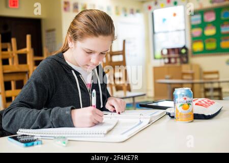 Harrison, New York, USA. Student an der Schule für Niederländische Sprache & Culte, die an Het-Auftrag arbeitet. Stockfoto