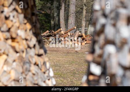 Stapel oder Stapel aus Blöcken, Stücken oder Holzstämmen im Winter oder Frühjahr mit Schnee. Stapelholz zum Trocknen und Lagern Stockfoto